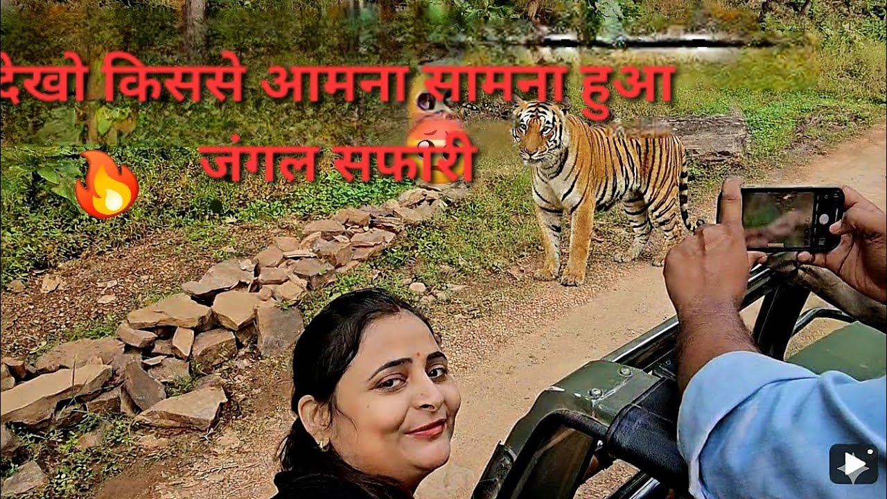 आज तो टाइगर मिल ही गया! 🐅 आपने पहले कभी नहीं देखी होगी।