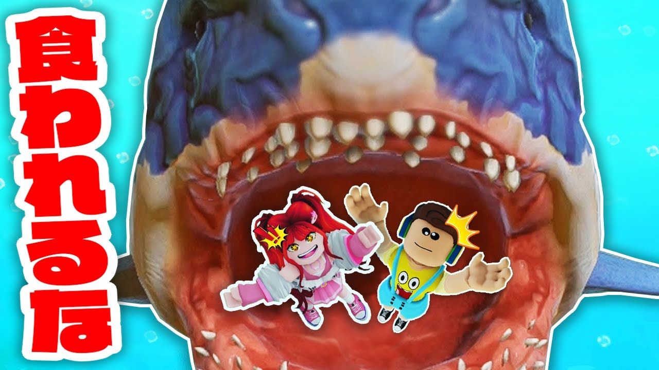 海で泳いでたら超巨大サメが出てきた！？急いで逃げろ！