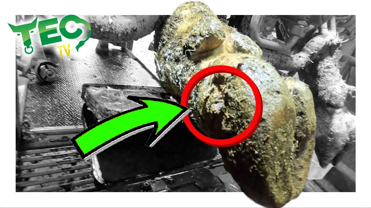 PITTED HOLE Revealing a BIGGER ISSUE