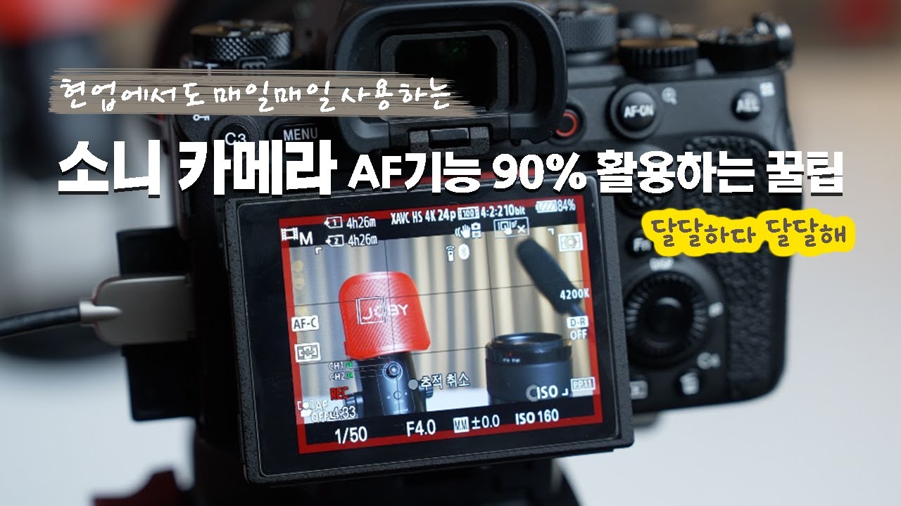 소니 카메라 사용자를 위한 포커스 제대로 사용하는 방법