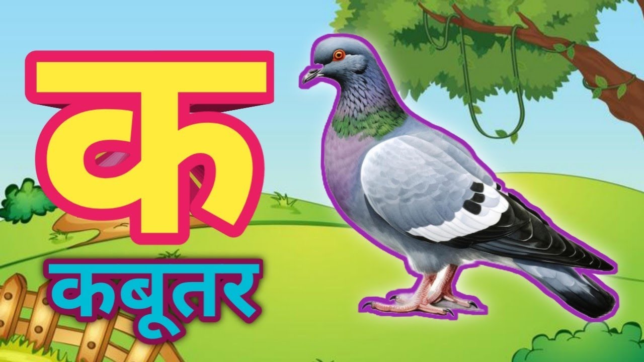 K se kabutar, अ से अनार, आ से आम, हिंदी वर्णमाला, क से कबूतर, a se anar, स्वर व्यंजन, कखग, अआ,19