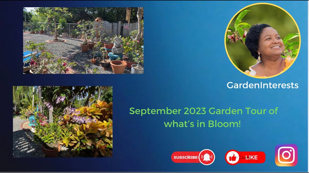 September 2023 Garden Tour of what’s in Bloom!