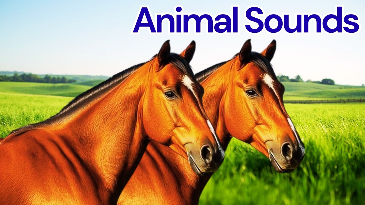 Farm Animal Names and Sounds for Kids 🐎| Animal Sounds for Toddlers | Early Educational Video