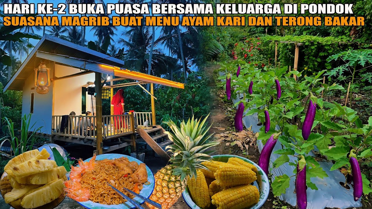 SUASANA MAGRIB DI PONDOK BUAT MENU BUKA PUASA AYAM KARI & TERONG BAKAR JADI NAMBAH BERKALI-KALI