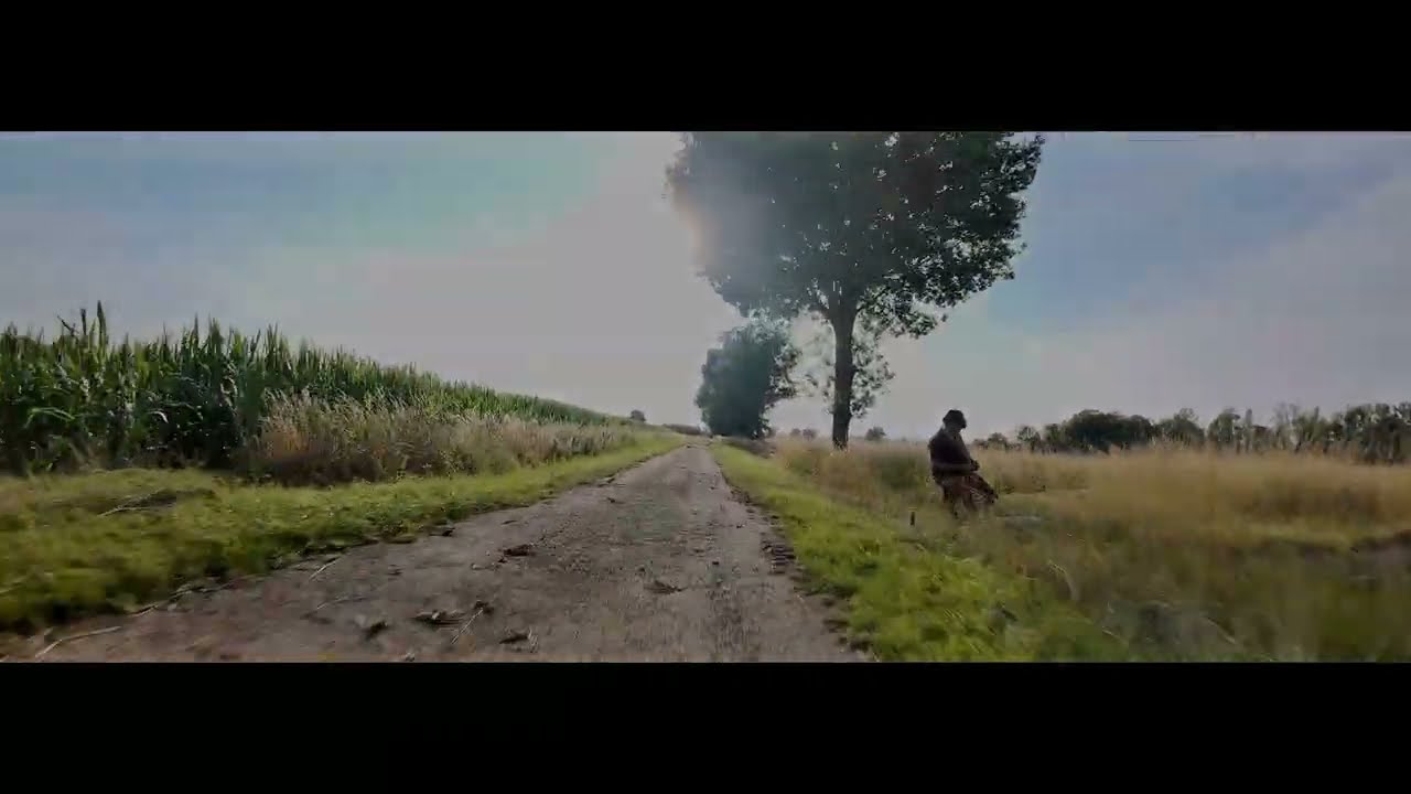 Cinelog30 V3