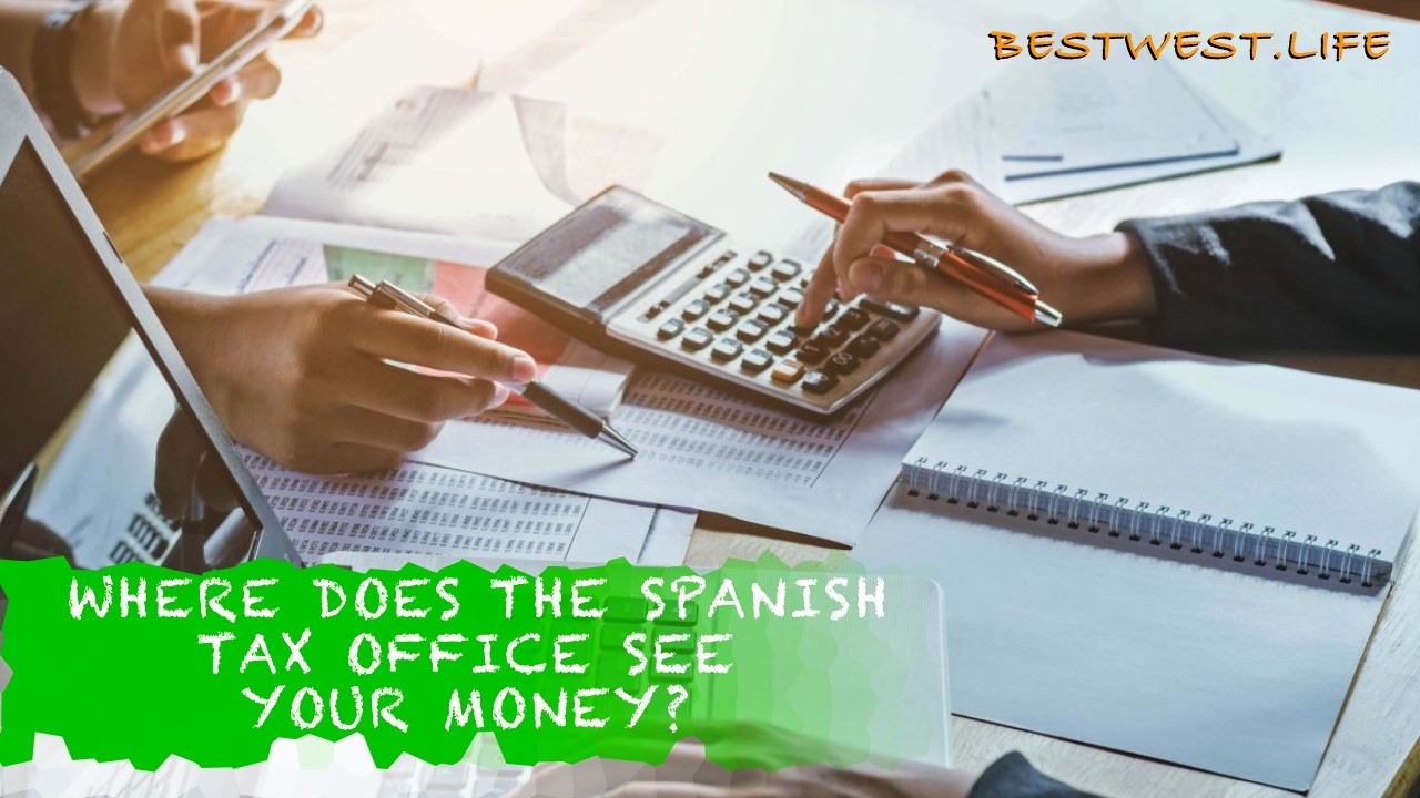 Difference between a hestor, an assessor and a lawyer? Does the Spanish tax office view your income?