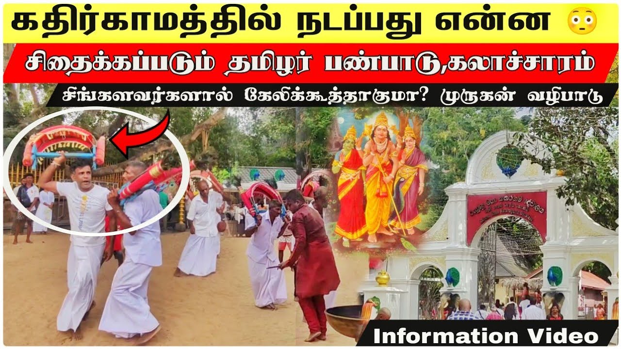 தூர இடங்களில் இருந்து வரும் பக்தர்கள் கதிர்காமத்தில் என்ன செய்ய வேண்டும் | Shen Vlogs