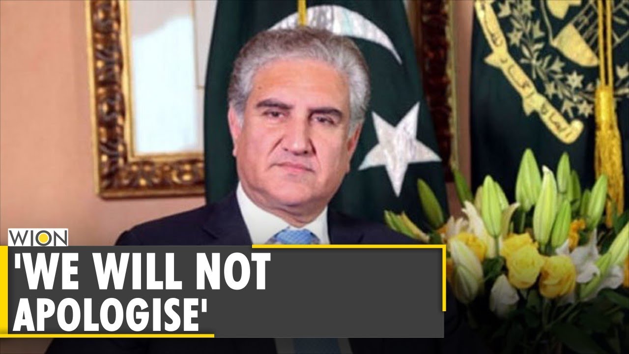 'International community should look into failures of Afghan forces': Pak FM Qureshi | Taliban News