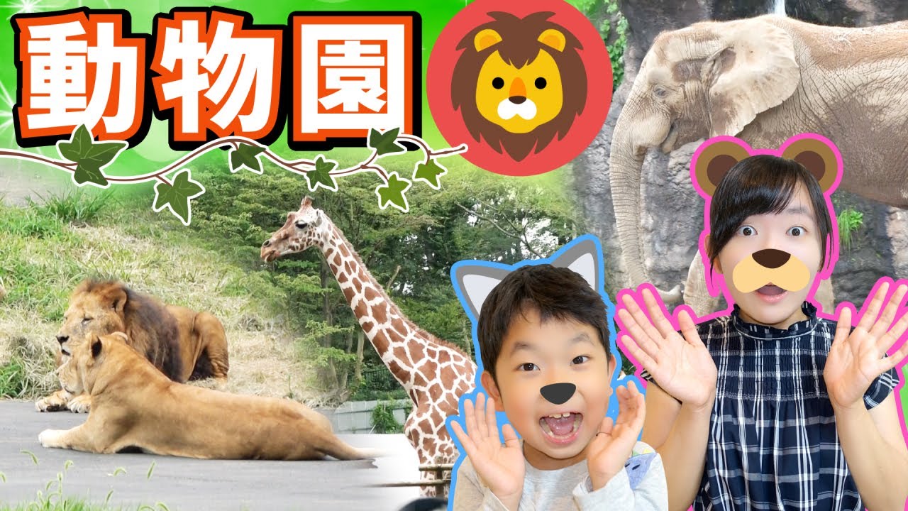 ★ライオンの迫力がすごい！多摩動物園に遊びに行ったよ♪～野生の動物ってやっぱりすごい！～★