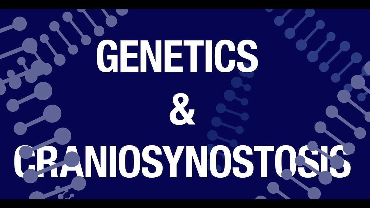 Genetics & Craniosynostosis