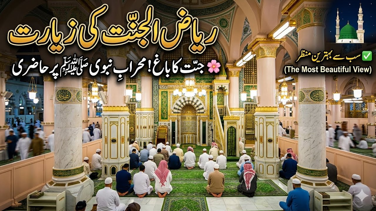 Riyaz-ul-jannah #rozarasool #viral #madinasharif 
