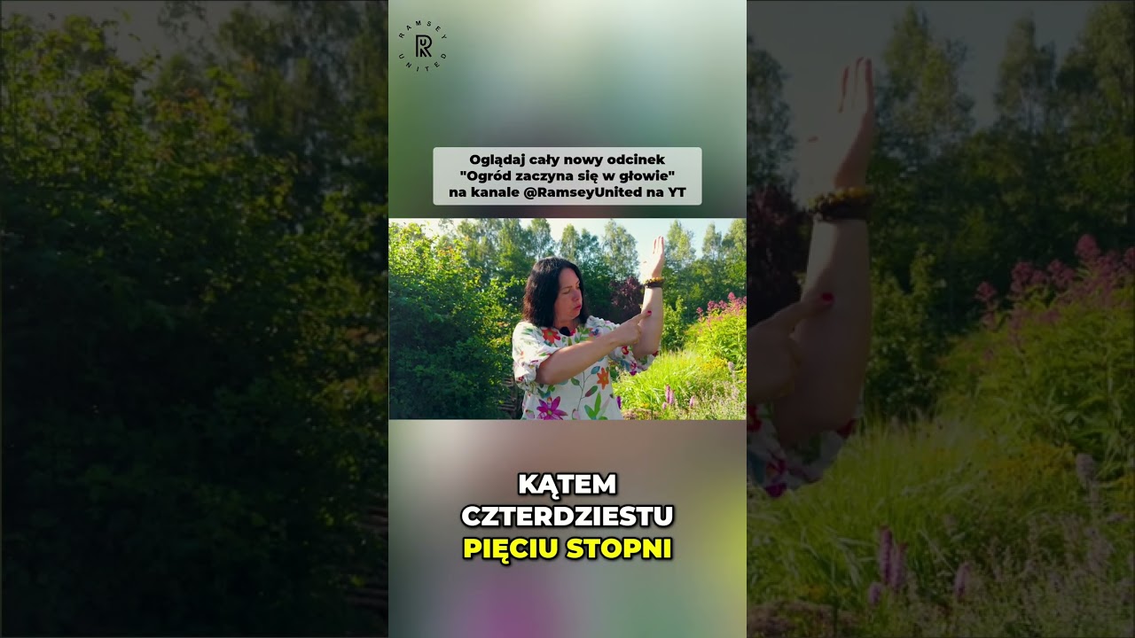👩&zwj;🌾🌿💡Żywopłot, kt&oacute;ry rani nawet psy? #ogr&oacute;d #ogrodnictwo #żywopłot