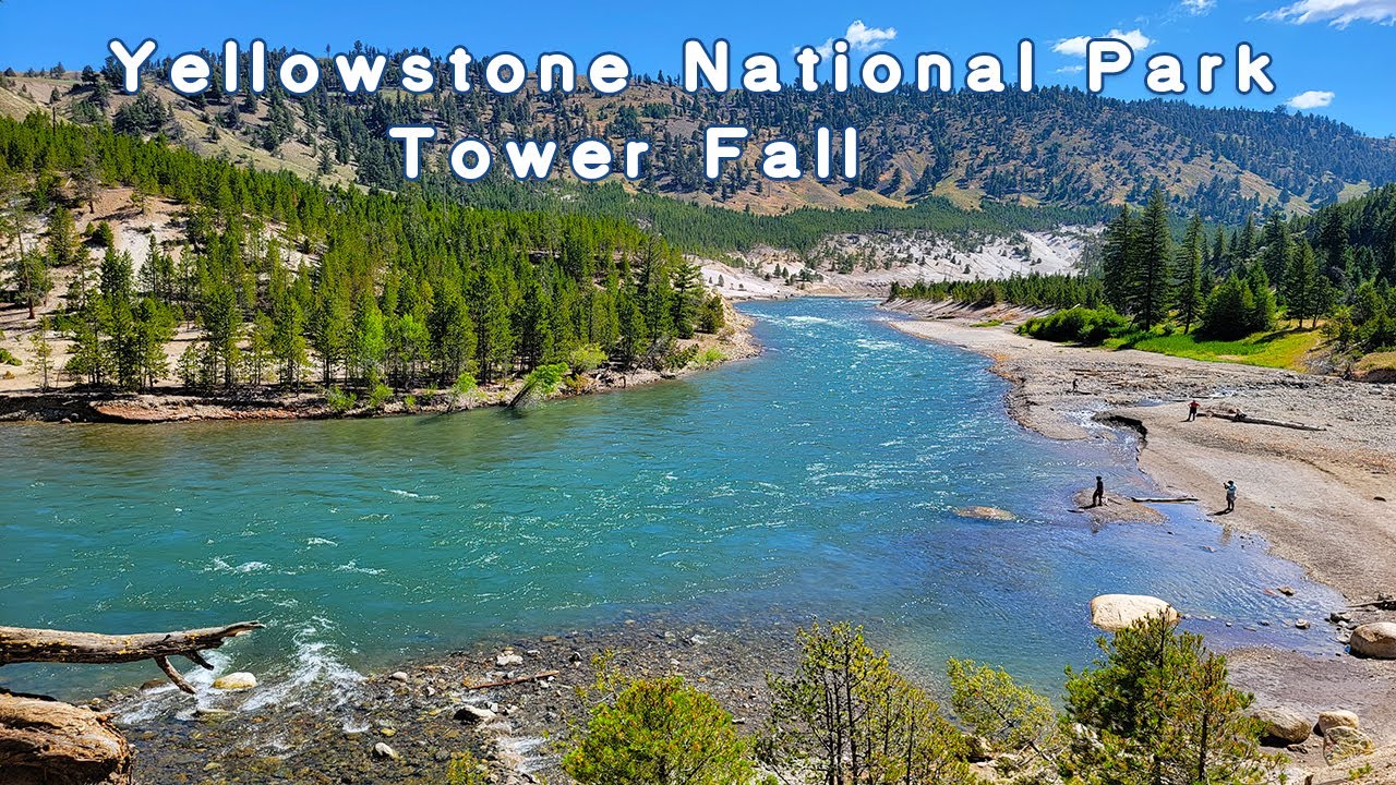 Yellowstone National Park // Tower Fall Vlog
