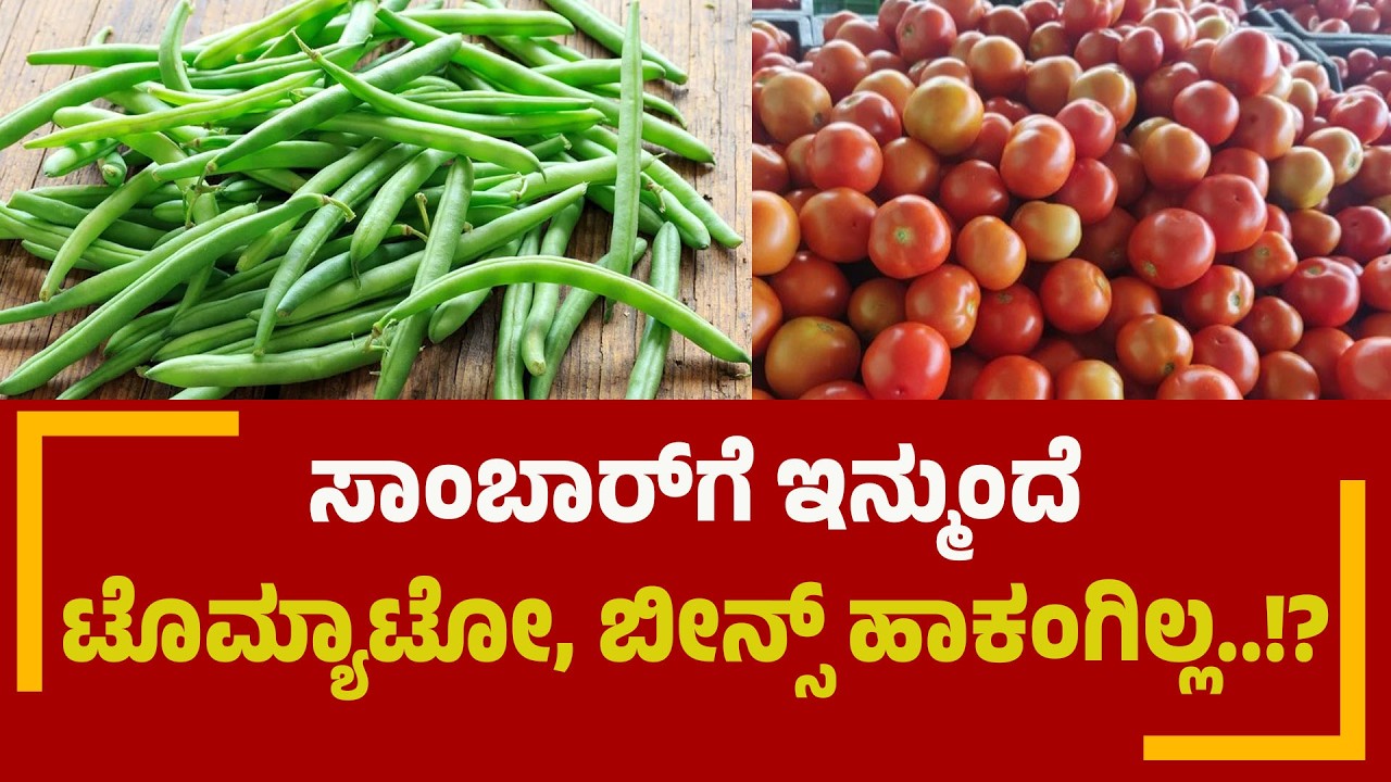 ರಾಜ್ಯದಲ್ಲಿ ವರುಣನ ಅಬ್ಬರ ಗಗನಕ್ಕೇರಿದ ತರಕಾರಿ ಬೆಲೆ | VegetablePriceHike | PNS Vistaara News