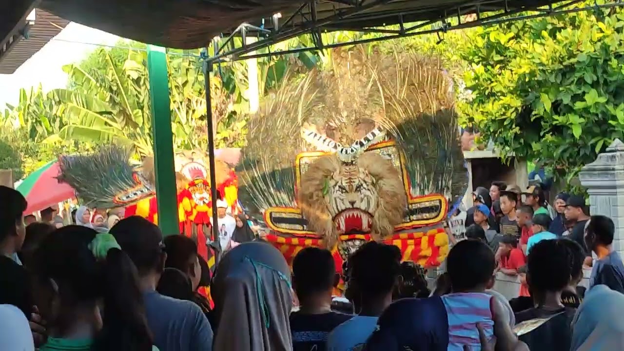 reog ponorogo (solah dadak merak)