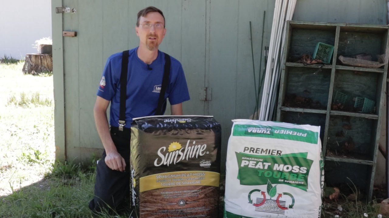 Is the More Expensive Peat Moss Worth it?