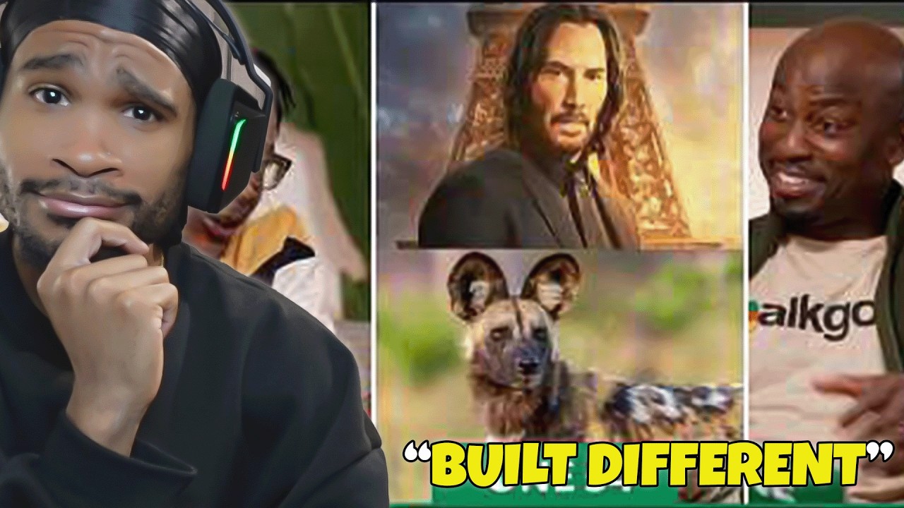 Why American Dogs Wouldn’t Survive In Africa 😭