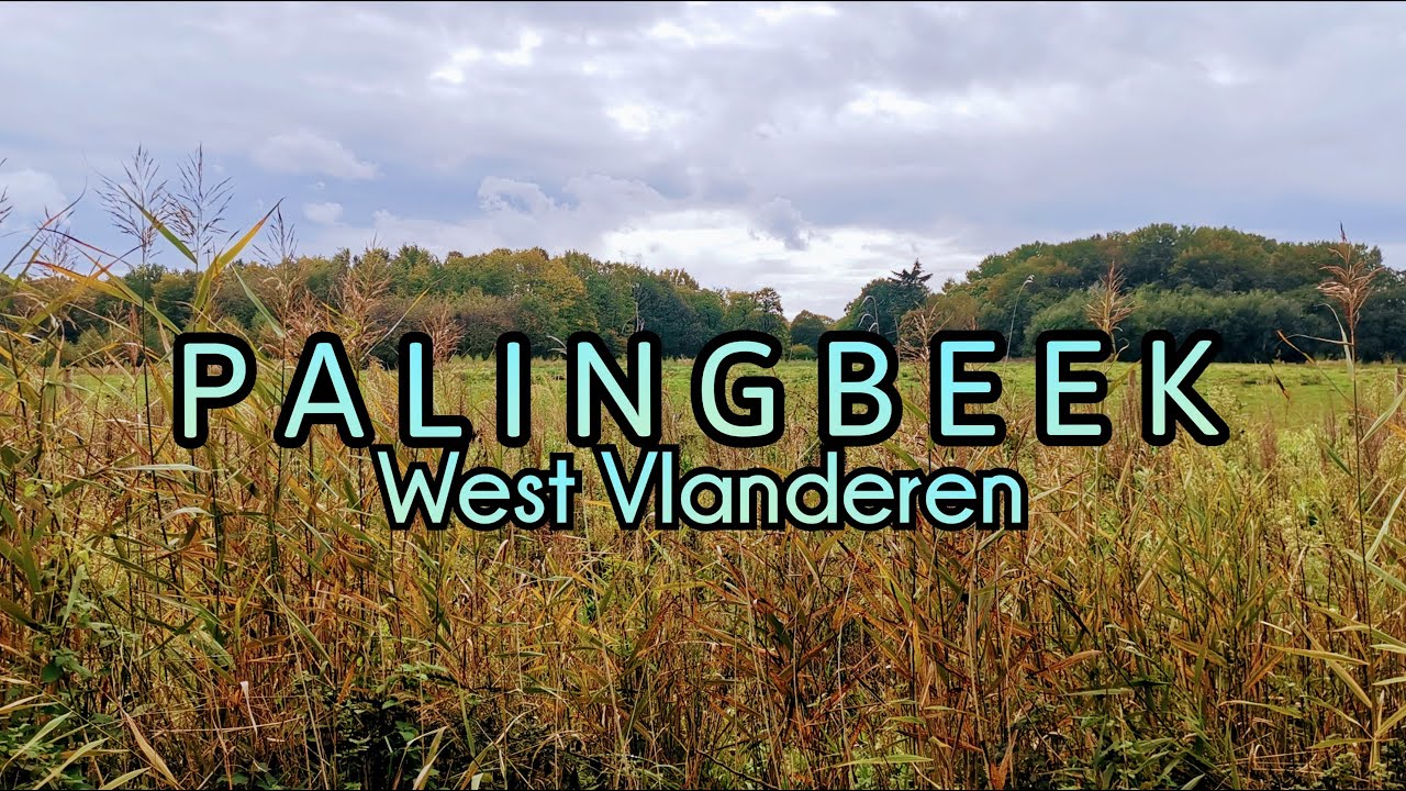 De Palingbeek | Ieper | VLOG189