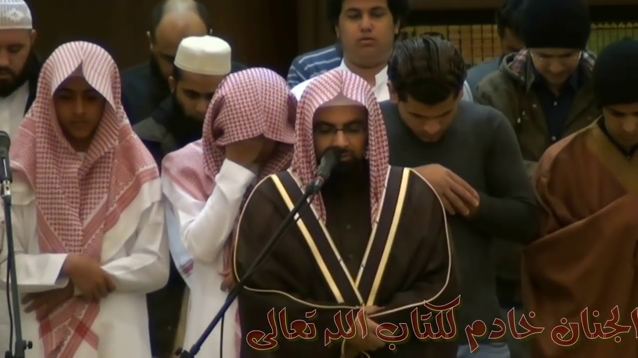 بطريقة الشريم - عشائية ناصر القطامي