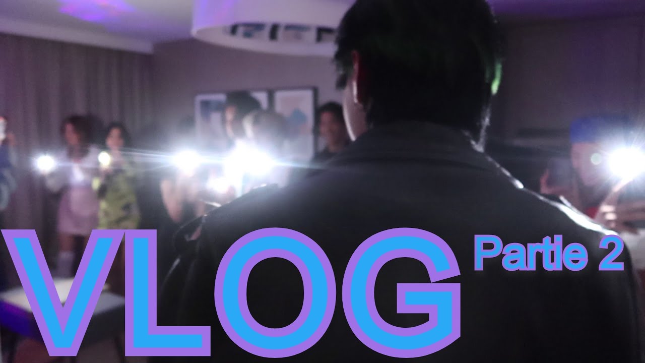 VLOG ANNIVERSAIRE | Je fête mes 20 ans !