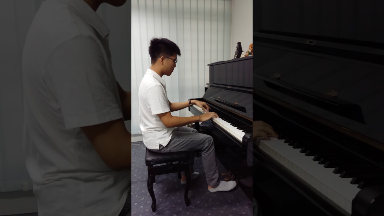 Diana Boncheva feat. BanYa - Beethoven Virus Piano Solo