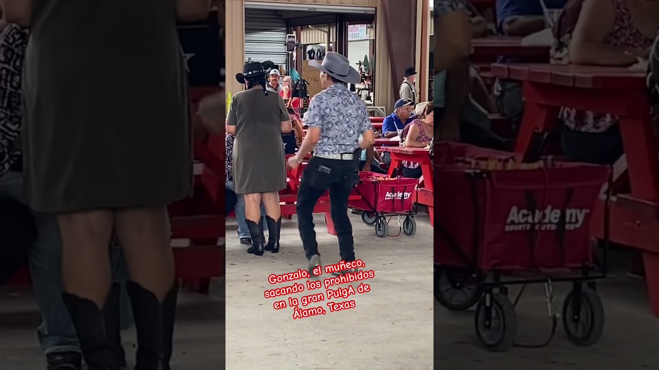 PulgA de &Aacute;lamo, Texas #musica #music #cumbia #envivo #m&uacute;sica #youtubeshorts