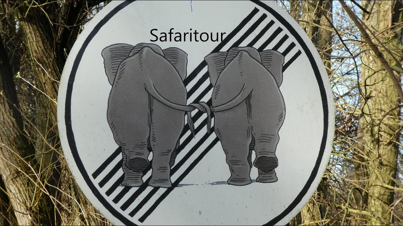 Safari Radtour . Von der Nidda zum Opelzoo.
