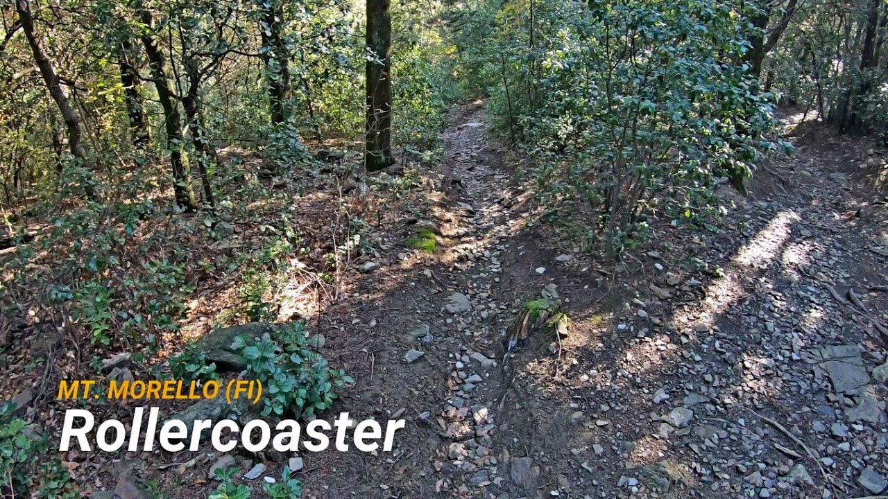 Rollercoaster, Mt. Morello (FI), 20-11-2021