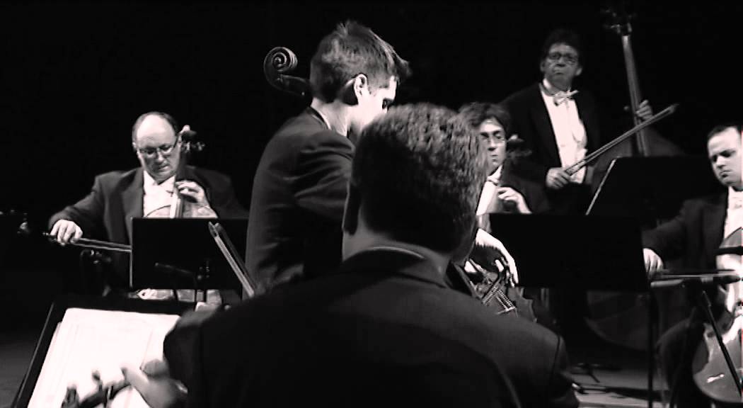 Theme from Schindler's List - LUKA SULIC
