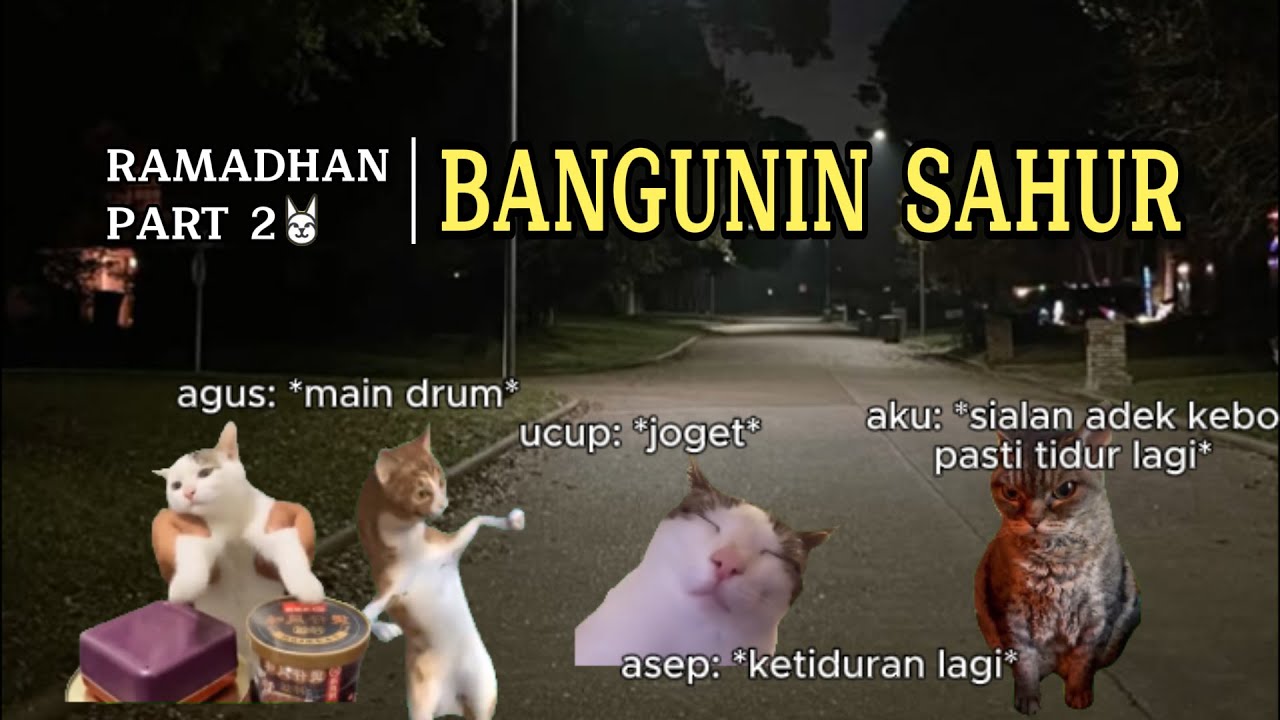 Pov: ramadhan (2) | Bangunin Sahur | Special Ramadhan | Meme Kucing | #pov #meme #kucing #cat