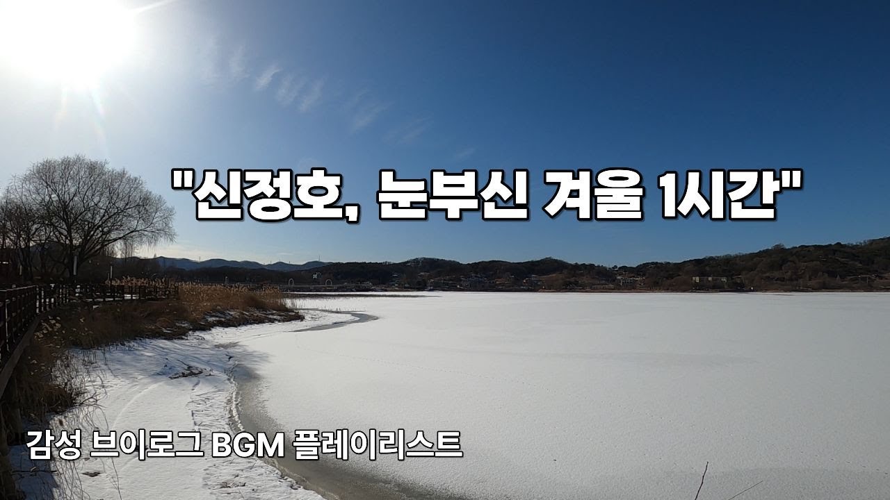 신정호, 눈부신 겨울 1시간 | 감성 브이로그 BGM 플레이리스트 #눈멍 #풍경브이로그 #1시간음악 #Playlist #작업용음악 #공부할때듣는음악 #감성영상 #겨울감성 #힐링영상