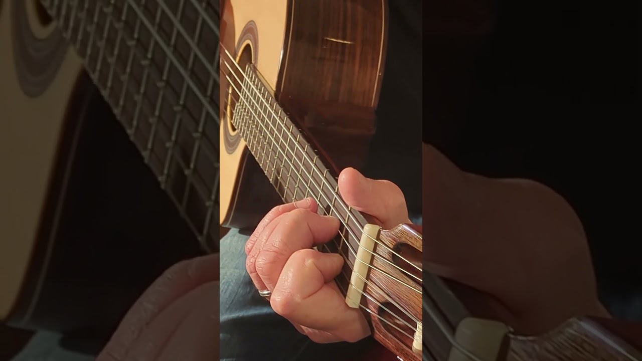 2 - Nylon Model 4C Med GranLock  - presented by GuitarPeople Sweden