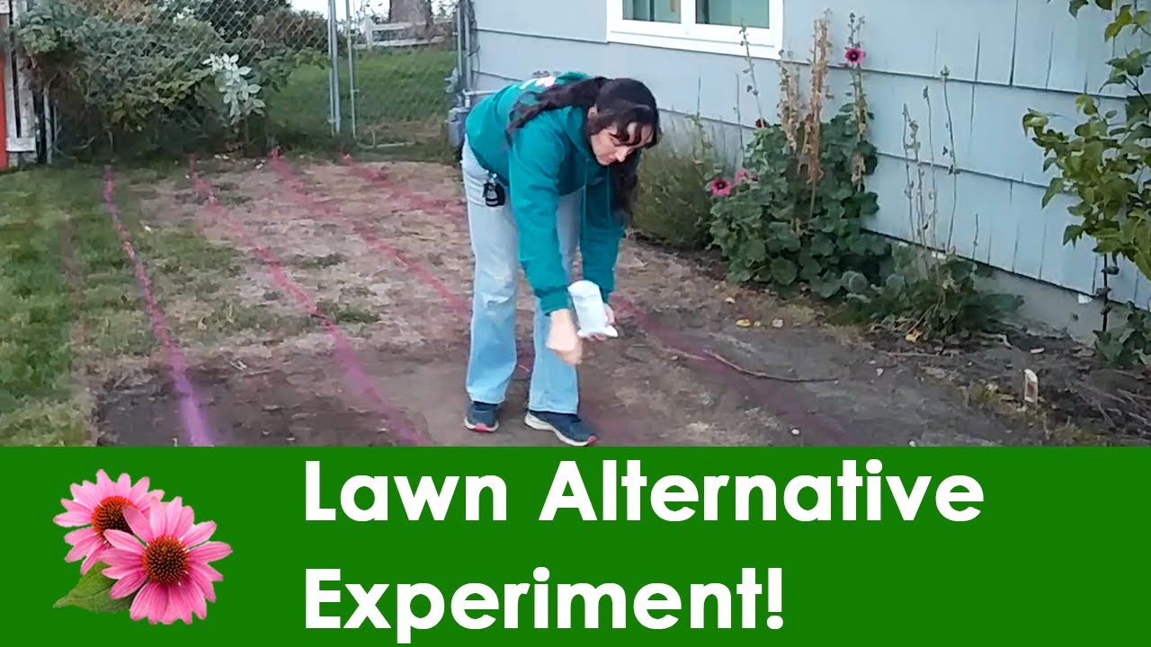 Lawn Alternative Experiment, Part 1: Prepping & Seeding!
