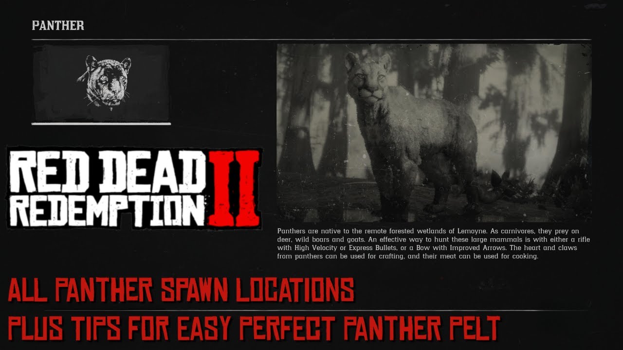 RDR2 ~ All Panther Spawn Locations + More Tips for Perfect Panther Pelt