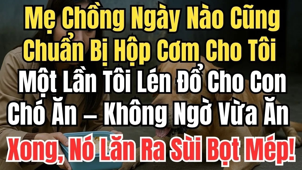 Mẹ Chồng Ngày Nào Cũng Chuẩn Bị Hộp Cơm Cho Tôi, Tôi Lén Đổ Cho Con Chó Ăn, Không Ngờ Vừa Ăn xong...