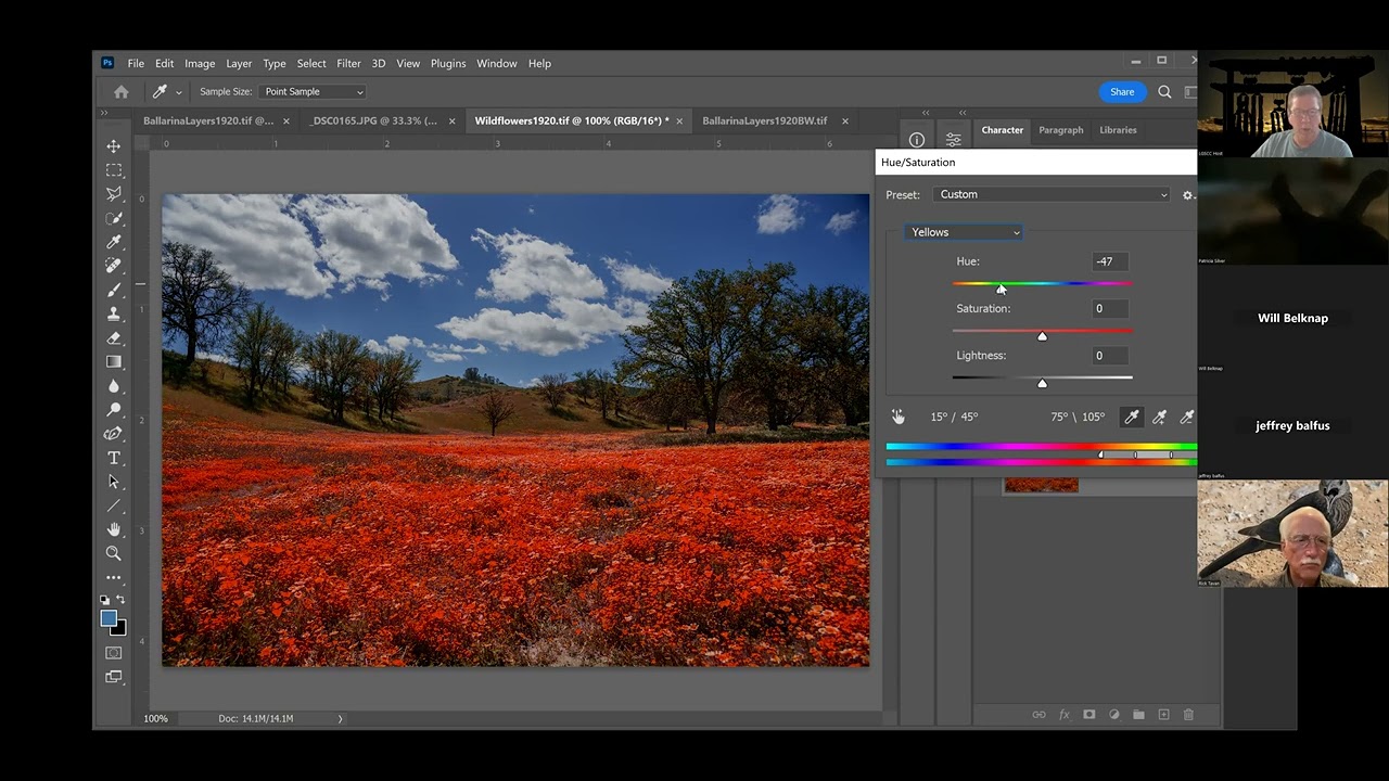 Photoshop Basics - The Image Tab