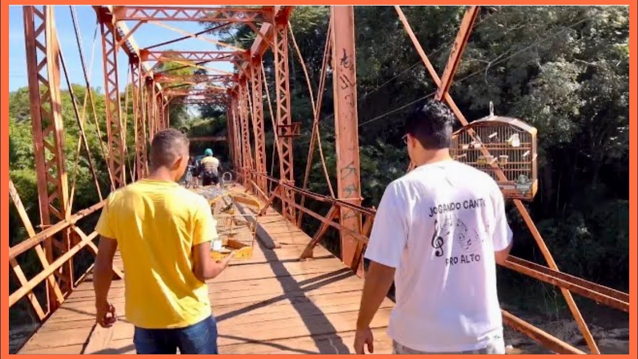 TESTANDO OS COLEIRO NO MATO PÓS MUDA DE PENAS