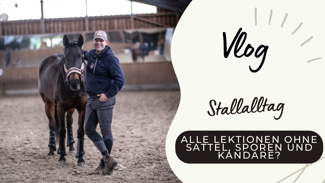 Eure Challenges an Püppi und mich - Lektionen reiten mit Halfter