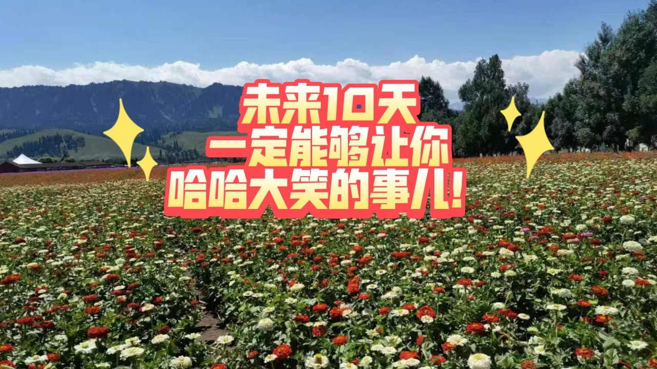 未来10天一定能够让你哈哈大笑的事儿！（不限时空 不限关系）