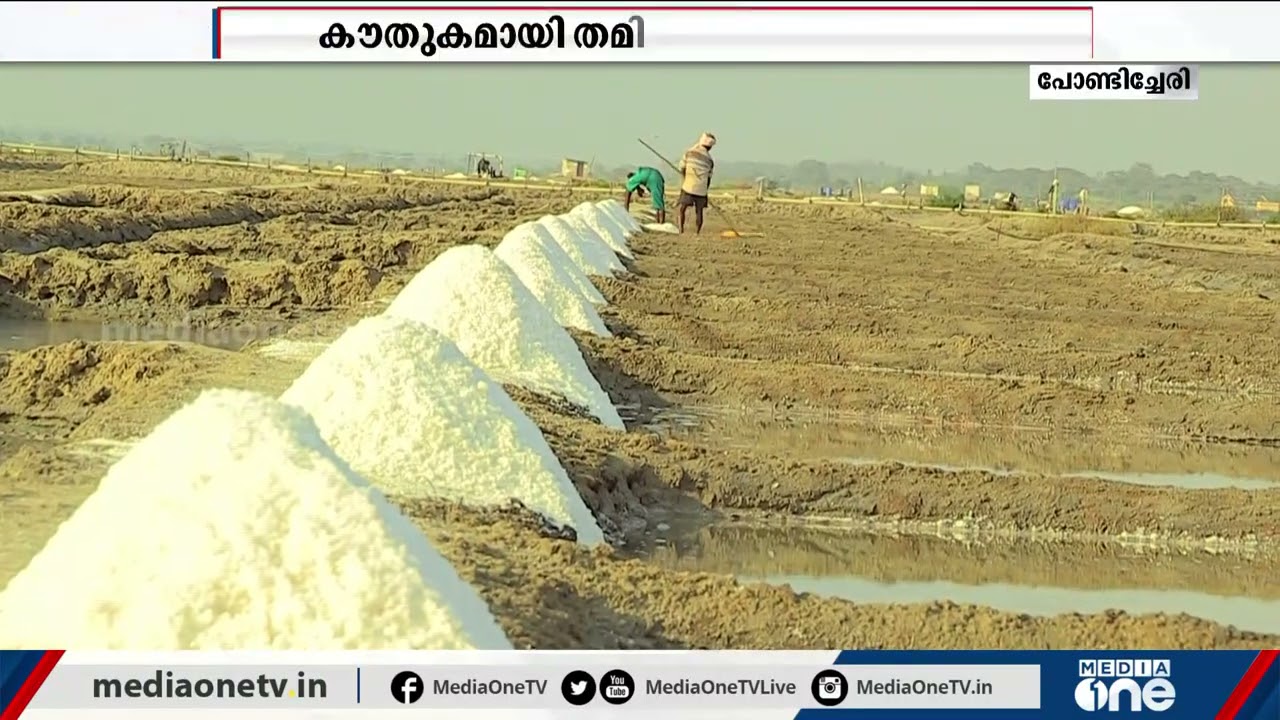 തമിഴ്‍നാട്ടിലെ ഉപ്പുപാടത്തെ കൗതുക കാഴ്ചകള്‍
