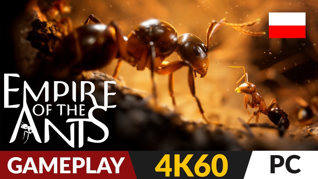 Empire of the Ants PL 🐜 PREMIERA ⛺️ RTS z mrówkami | Gameplay 4K