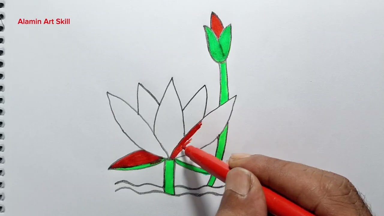 How to draw water Lily with easy water lily drawing  ||