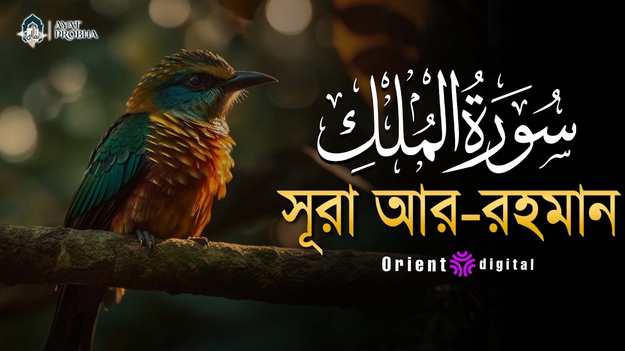 সূরা মুলক এর স্বর্গীয় তিলাওয়াতে আত্মাকে প্রশান্ত করুন ┇ Surah Al Mulk Recited by Mostafa Al Lahoni