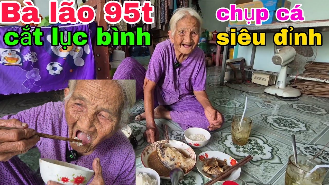 Bà lão 95t cắt lục bình đi chụp cá rô phi siêu đỉnh 