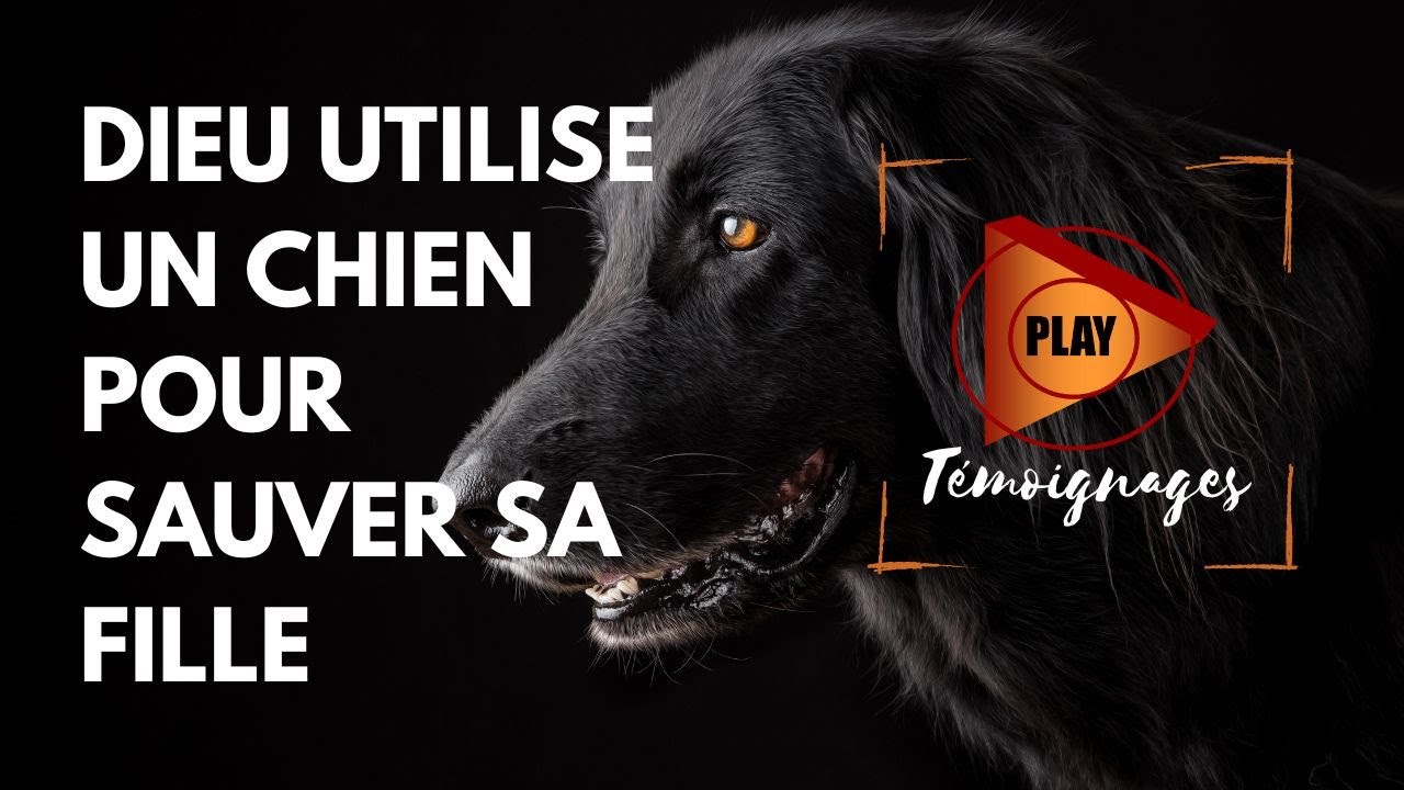 UN CHIEN SAUVE UNE SOEUR - William Marrion Branham | Histoires Edifiantes
