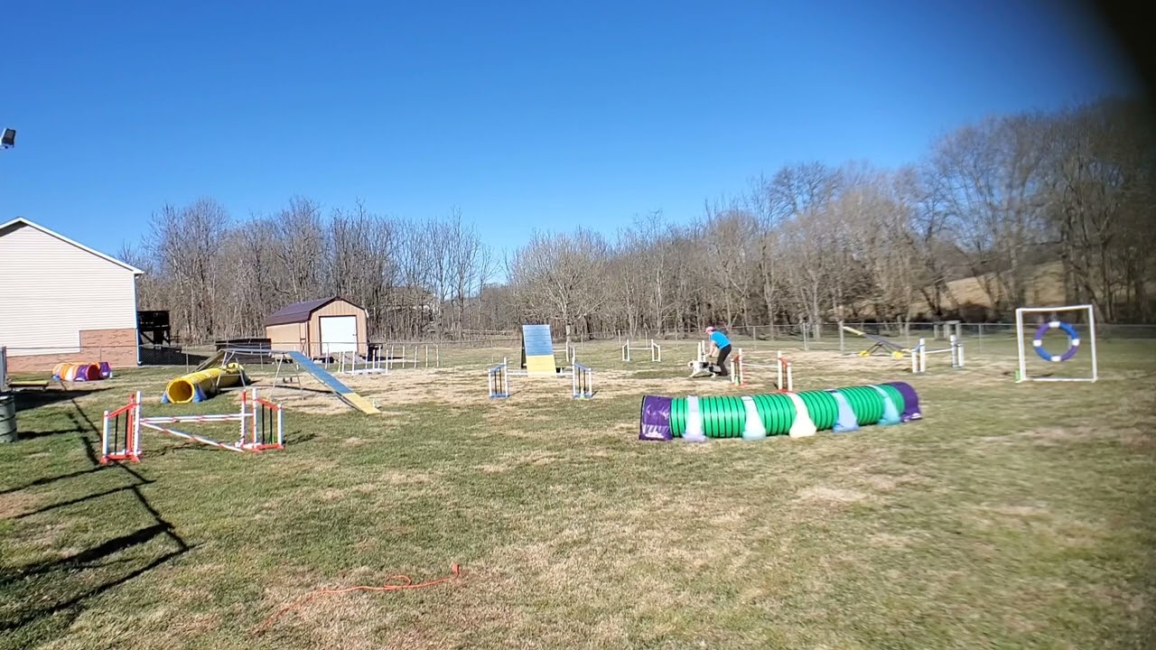 Ren UKI Master Series Agility course by Shane Miller