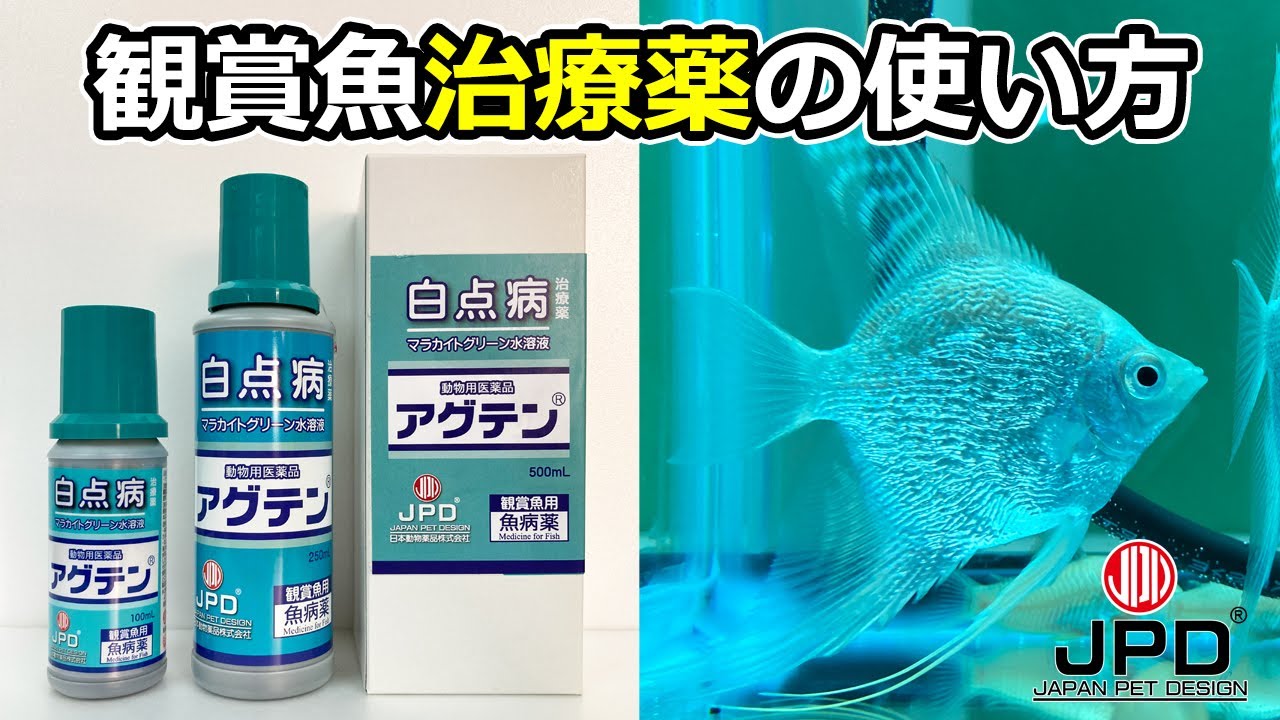 【魚病薬の使い方】観賞魚用治療薬「アグテン」
