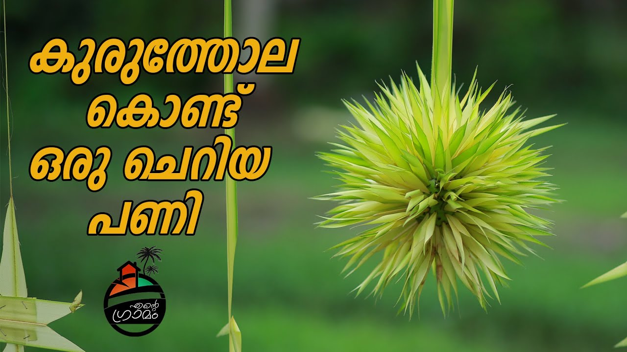 തെങ്ങോലയിലെ അത്ഭുതങ്ങൾ |പഴമയുടെ അലങ്കാരങ്ങൾ #Palm Art #Miracles of the palm #entegramam #Village