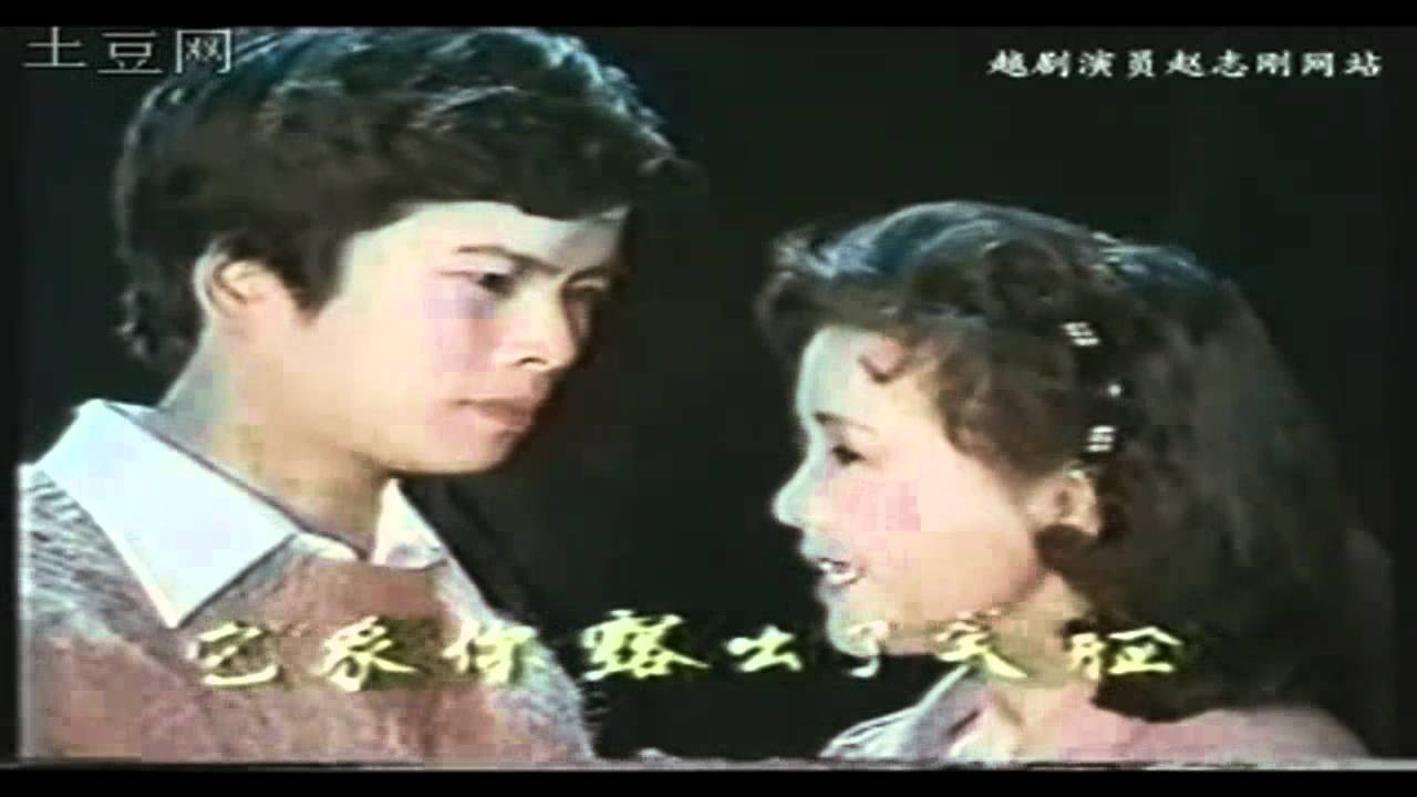赵志刚茅善玉-1988年 越剧《盘妻》沪剧《血染姐妹花》