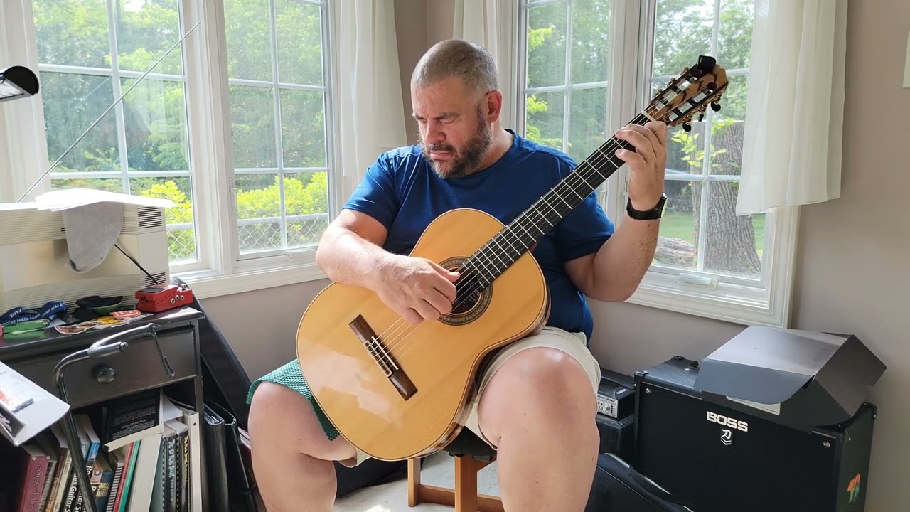 Bach - Jesu, Joy of Man's Desiring (arr. Bradford Werner)